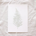 Cream Fern - A4 Print