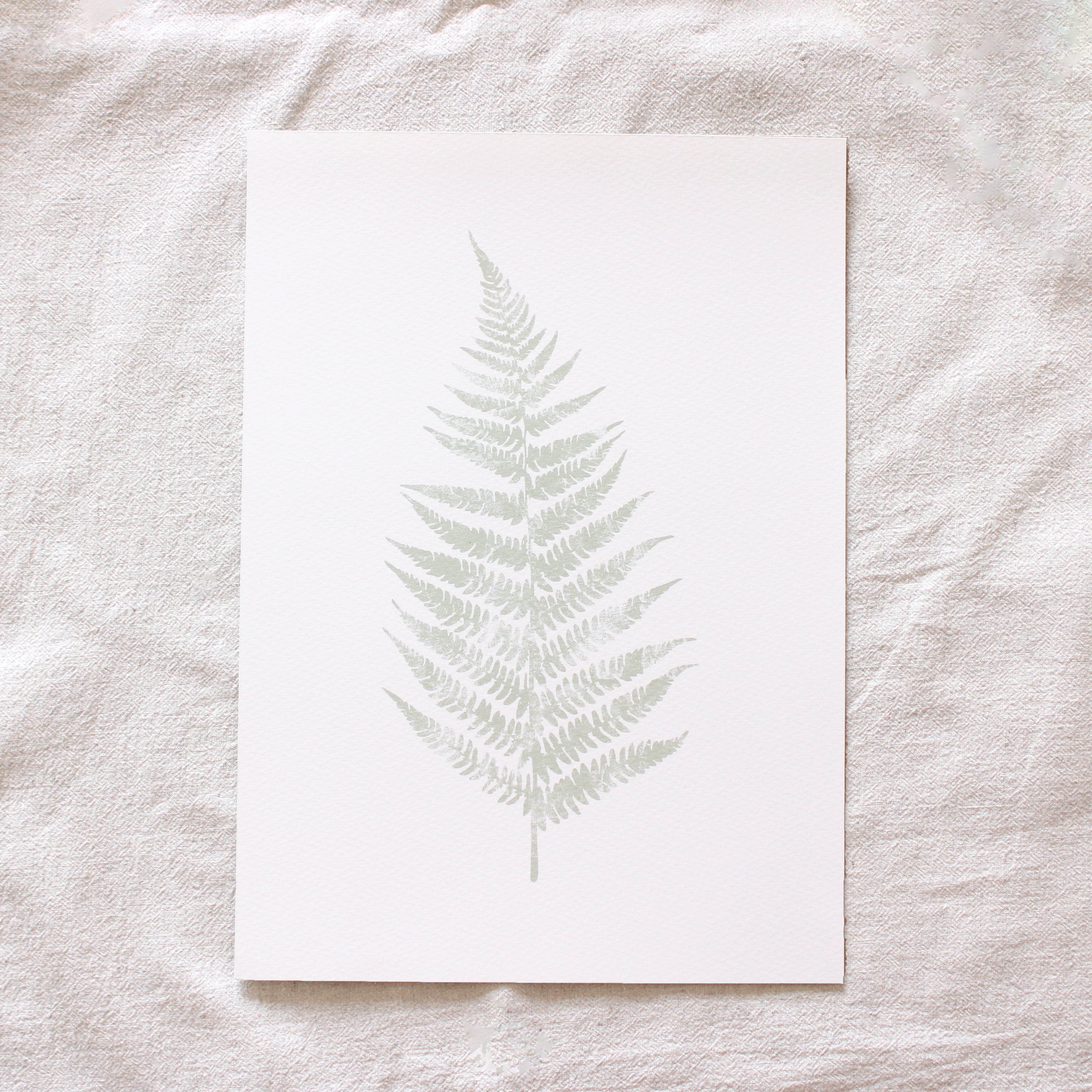 Cream Fern - A4 Print